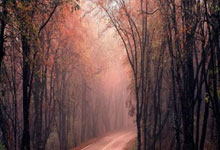 匈牙利游泳“铁娘子”霍苏宣布退役2025-01-10.