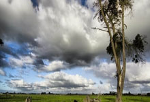 虎扑体育官网：[篮球公园]周五报告：南京双杀辽宁 北京力克青岛.