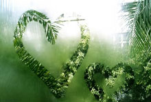 “奥运会新增滑板项目，年轻运动员备受关注”.