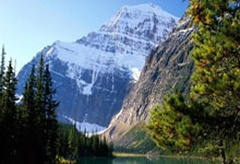 福原爱获“中日友好特别奖”锦观新闻.