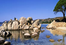 虎扑体育官网：赛季报销！图片报：阿方索十字韧带撕裂，将缺阵个月左右.